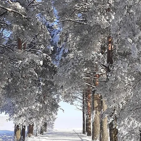 فندق Jokihovi Nivala