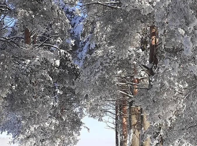 Hotel Jokihovi Nivala